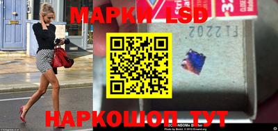 спиды Донской
