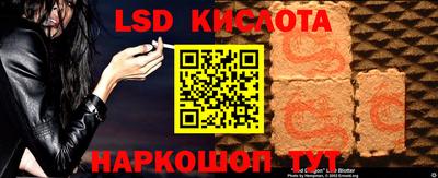 прущие грибы Дубна