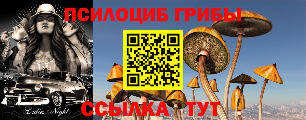 Галлюциногенные грибы GOLDEN TEACHER  Вход с VPN  Партизанск 